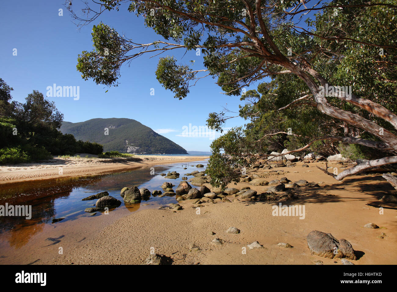 Sealers Cove. Wilsons Promontory National Park. Victoria, Australie. Banque D'Images