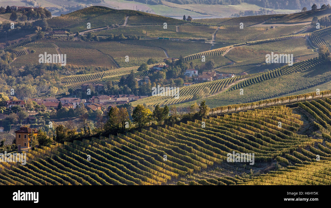 Vignobles de Barolo, une région viticole dans la région du Piémont en Italie du nord. Banque D'Images