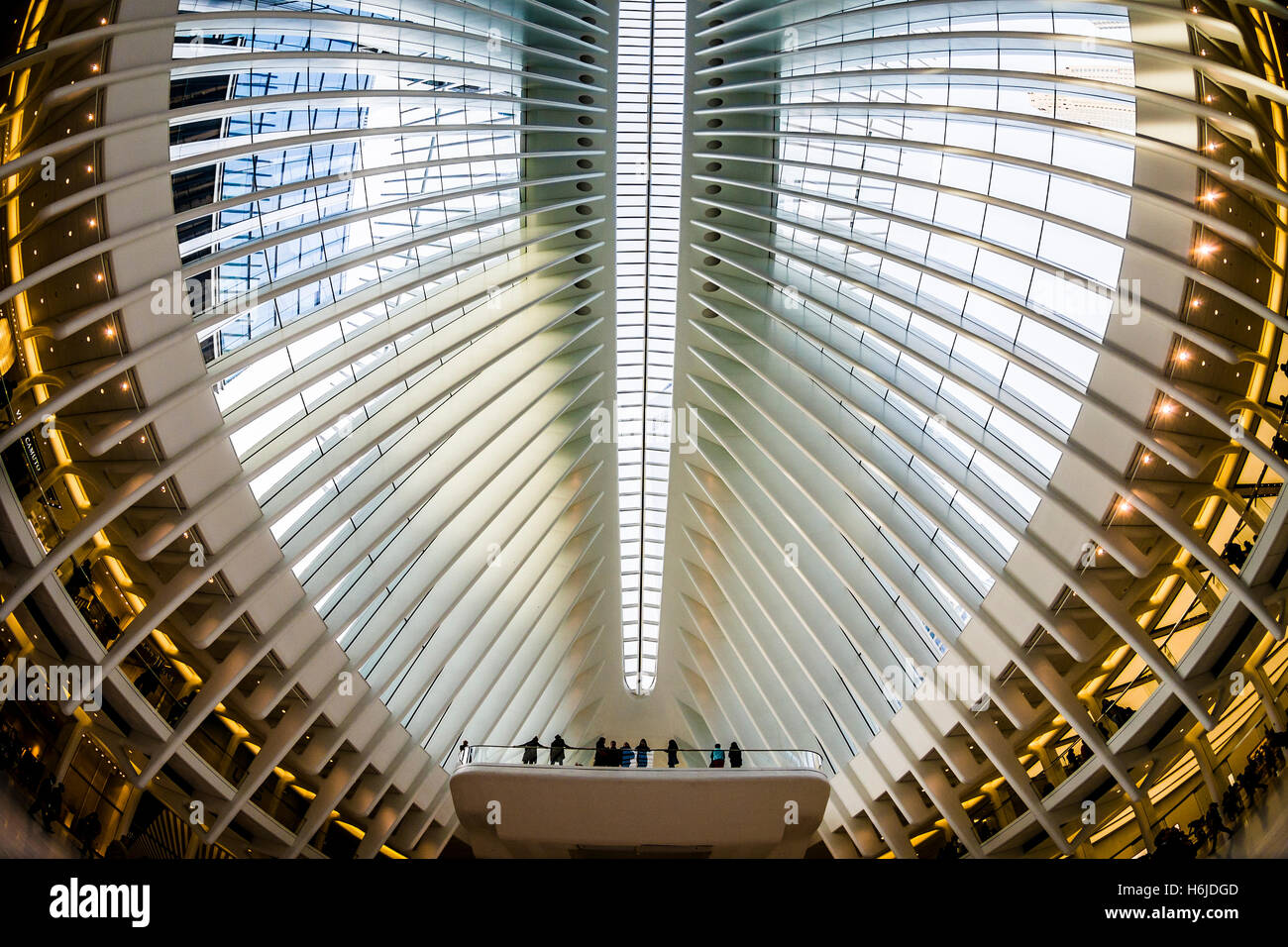 New York, NY, Oculus plaque tournante du transport au World Trade Center, achevé en 2016, 250 000 de l'Autorité portuaire sert (CHEMIN) navetteurs quotidiens et des millions de visiteurs de partout dans le monde. ©Stacy Walsh Rosenstock Banque D'Images