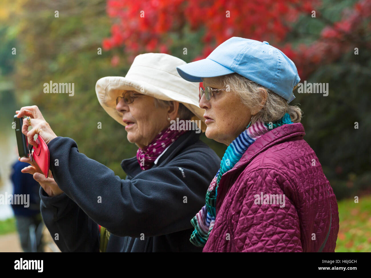 Deux femmes âgées arrêté pour prendre une photo de la couleurs automnales en Octobre Banque D'Images