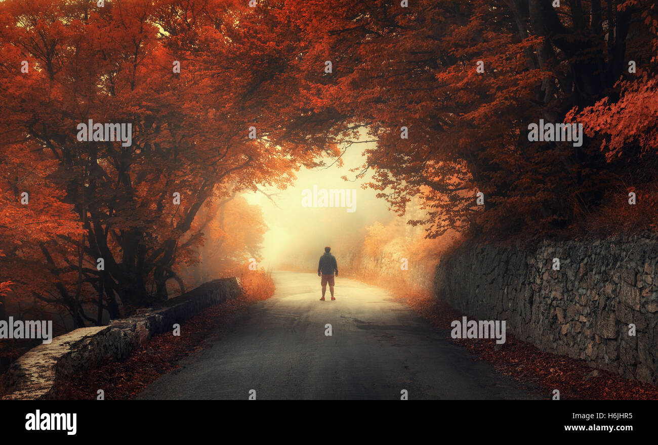 Automne forêt mystique rouge avec silhouette d'un homme sur la route dans le brouillard. Bois de l'automne. Paysage avec l'homme, les arbres, les routes, l'orange et Banque D'Images