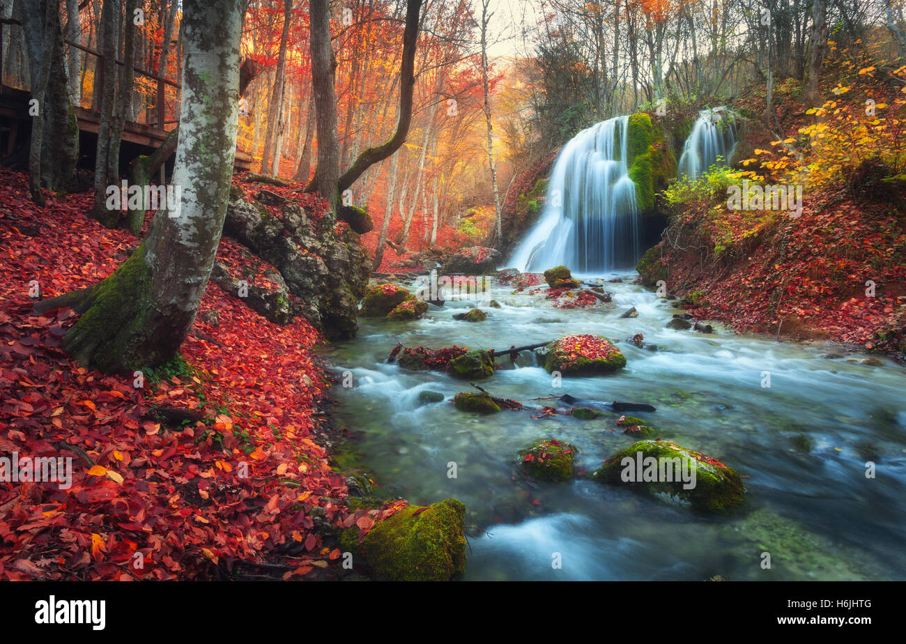Forêt d'automne avec chute d'eau à la rivière de montagne au coucher du soleil. Paysage coloré avec des arbres, des pierres, une cascade et un rouge vibrant et o Banque D'Images