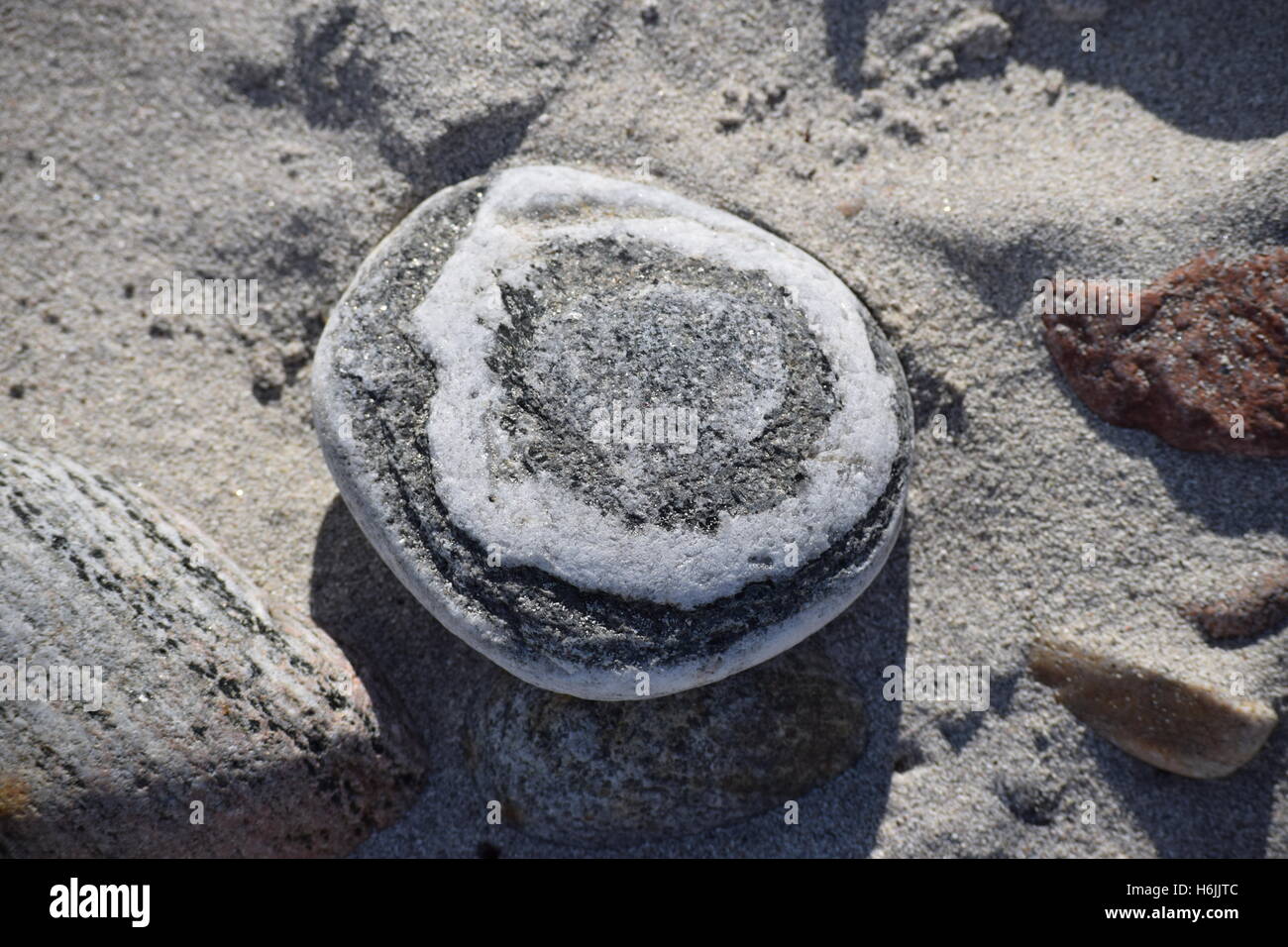Pierre avec des cercles sur le sable Banque D'Images
