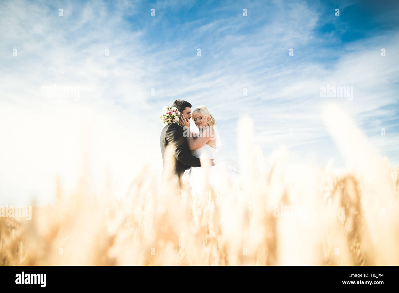 Heureux élégant élégant et magnifique blonde bride groom posing in wheat field sur le fond bleu du ciel Banque D'Images