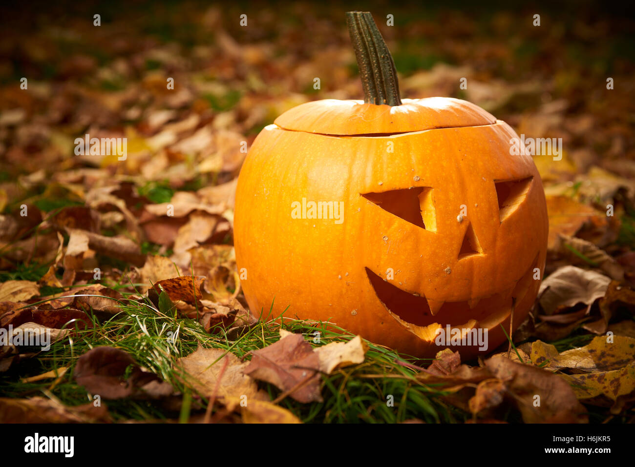 Pour l'halloween pumpkins mûrs sur l'herbe verte avec les feuilles d'automne background Banque D'Images