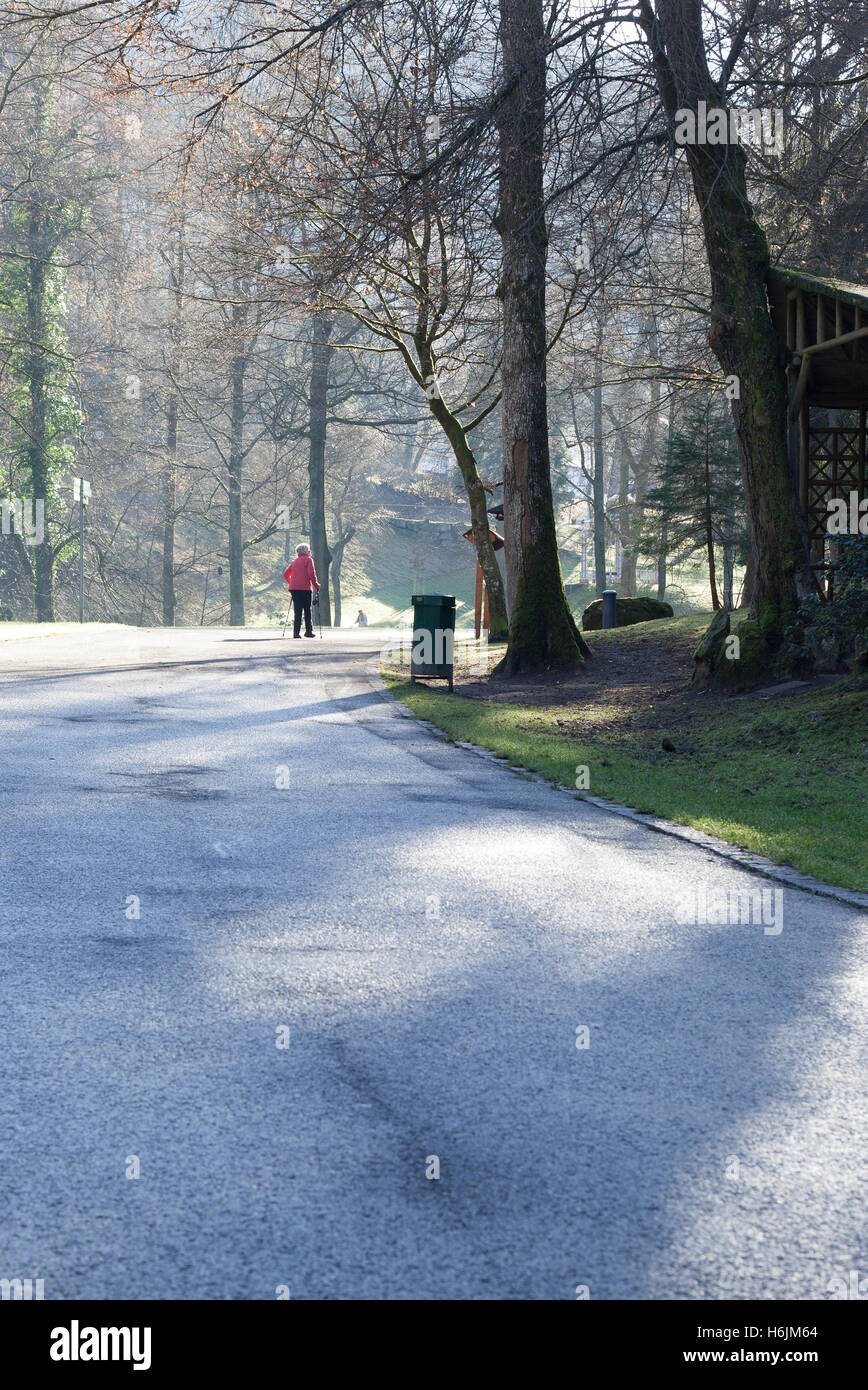 Bad Wildbad, Enztal, Forêt Noire, Allemagne, Noël 2015, c'était comme le printemps, Banque D'Images