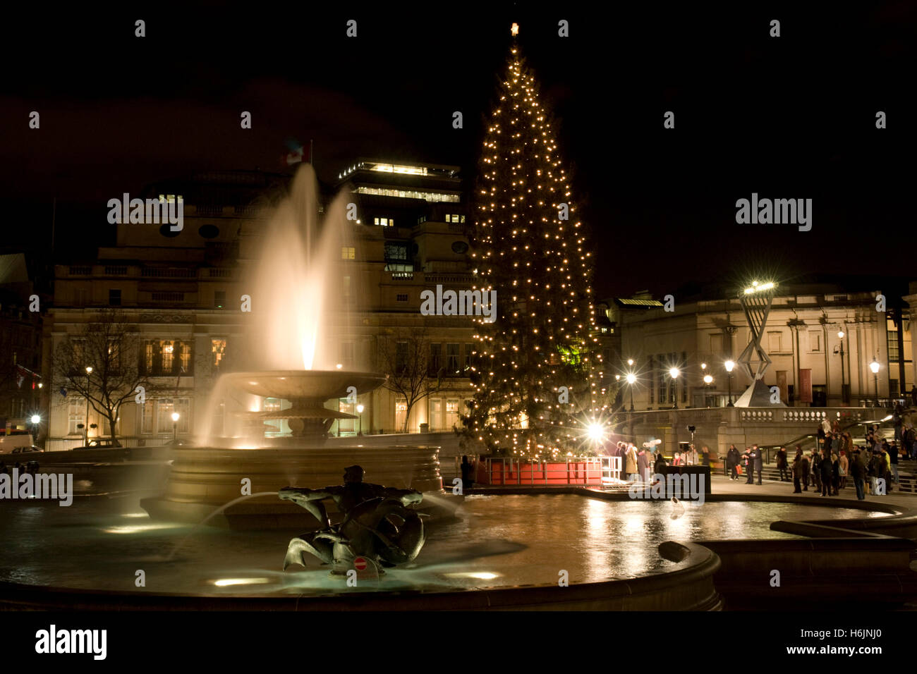 Arbre de Noël, Seigneur la Colonne Nelson à Trafalgar Square, Londres, Angleterre, Royaume-Uni, Europe Banque D'Images