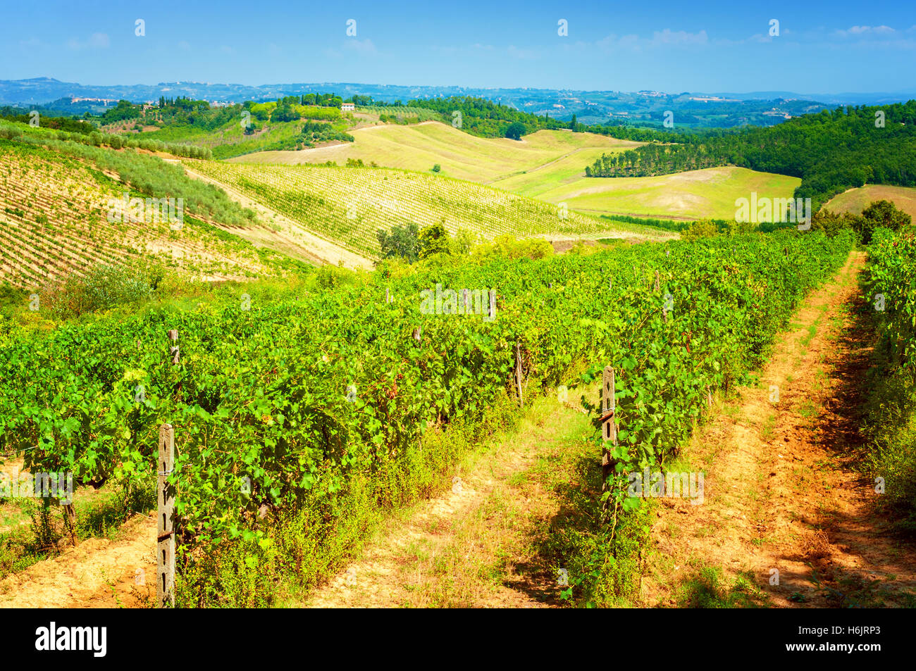 Vignoble en Toscane, Italie Banque D'Images
