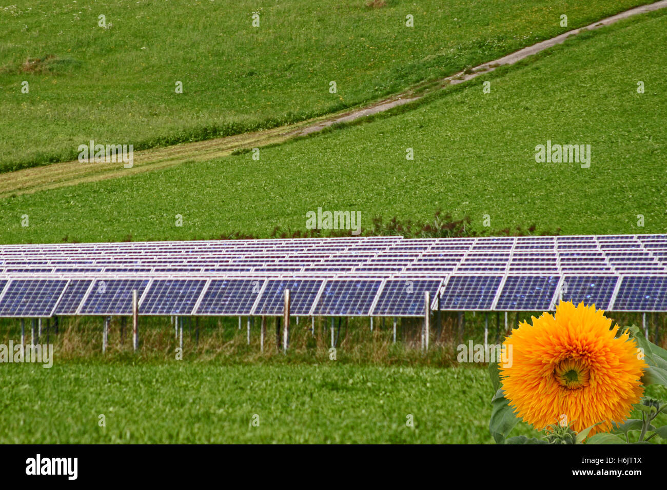 solaire de paysage Banque D'Images