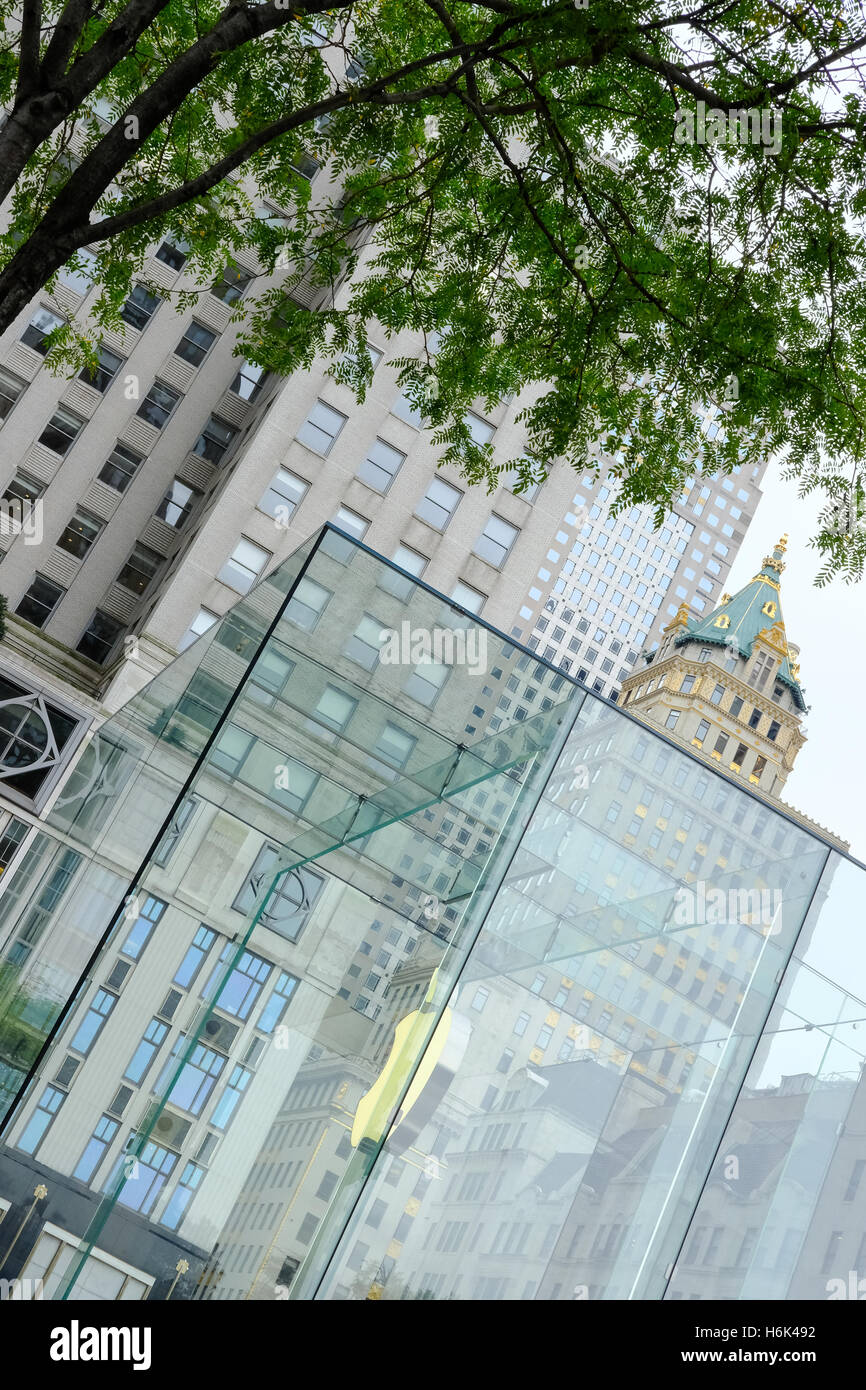 Apple Store en cubes en verre de phare entrée avec logo lumineux vu dans Central Park, New York City. Banque D'Images