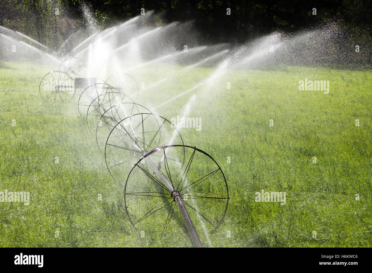 L'irrigation agricole sprinkleur ligne roue Banque D'Images