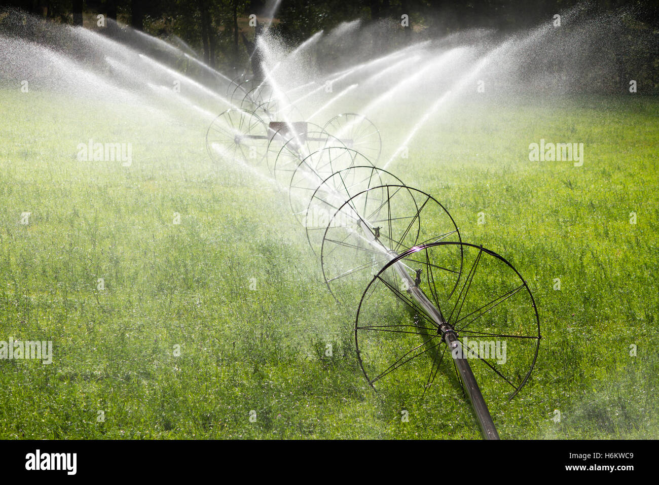 L'irrigation agricole sprinkleur ligne roue Banque D'Images