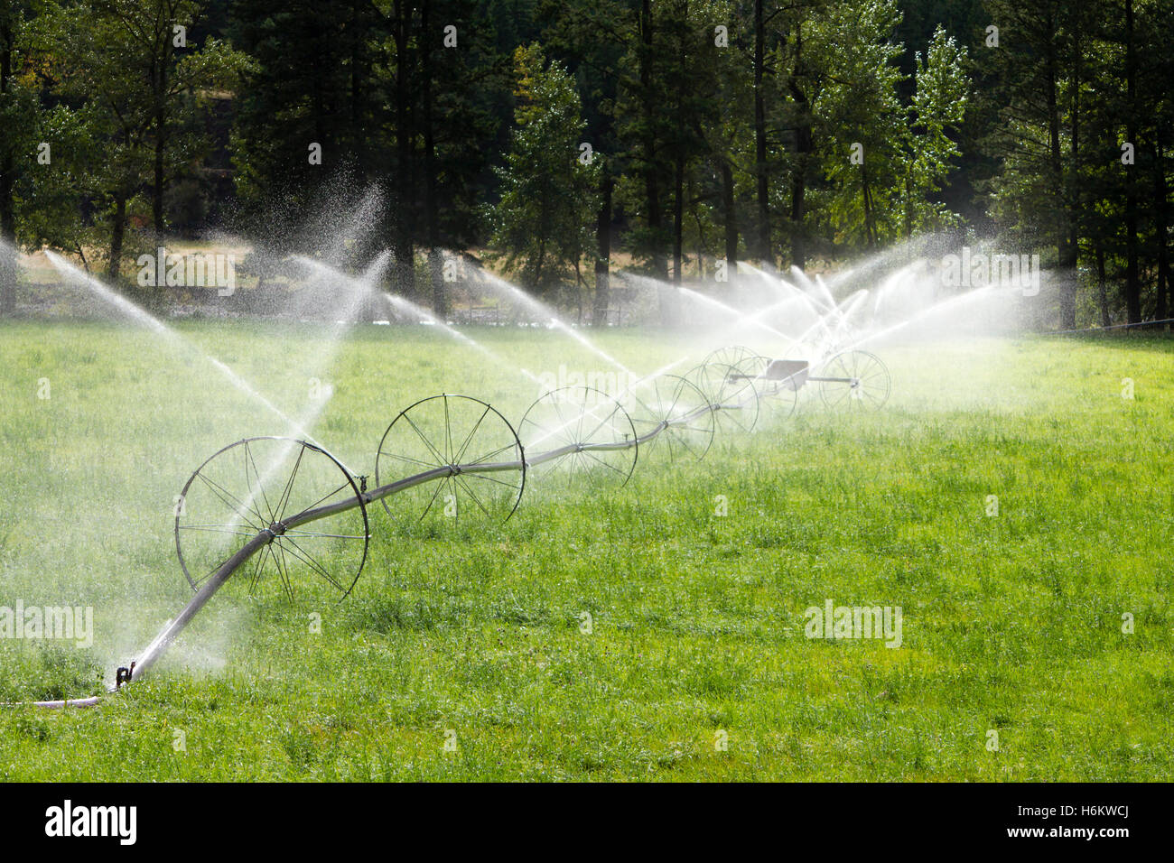 L'irrigation agricole sprinkleur ligne roue Banque D'Images