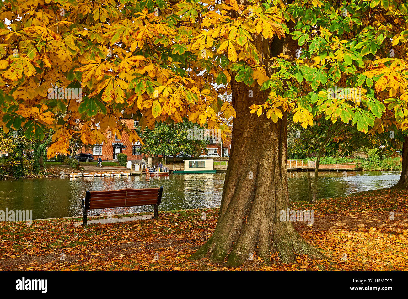 Arbres en automne automne coloriage saison sur le terrain de jeux à Stratford upon Avon Banque D'Images