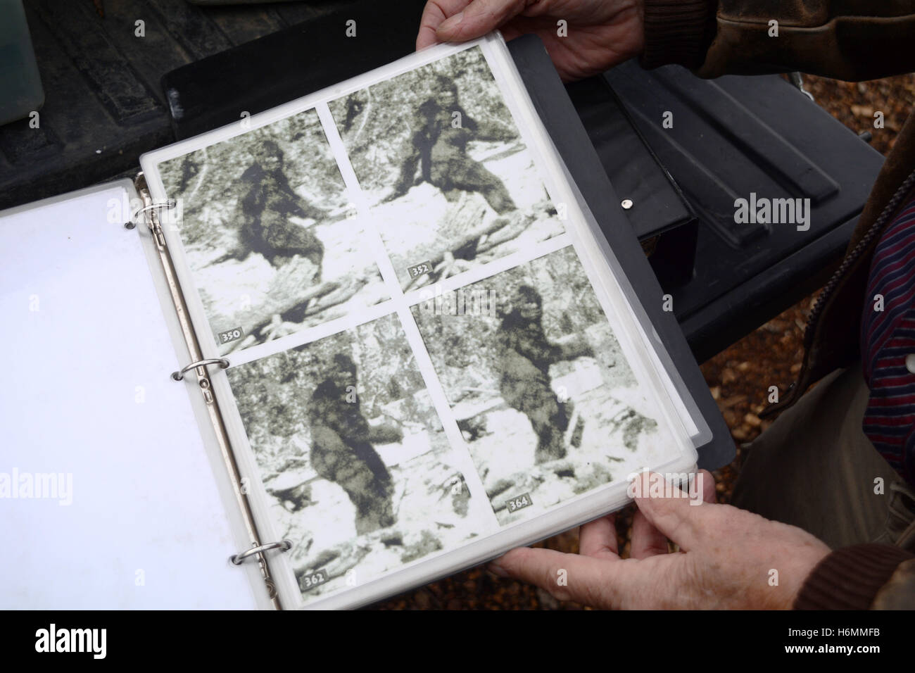 Un Sasquatch hunter avec des images fixes de la célèbre 1967 Patterson-Gimlin film Bigfoot, British Columbia, Canada. Banque D'Images