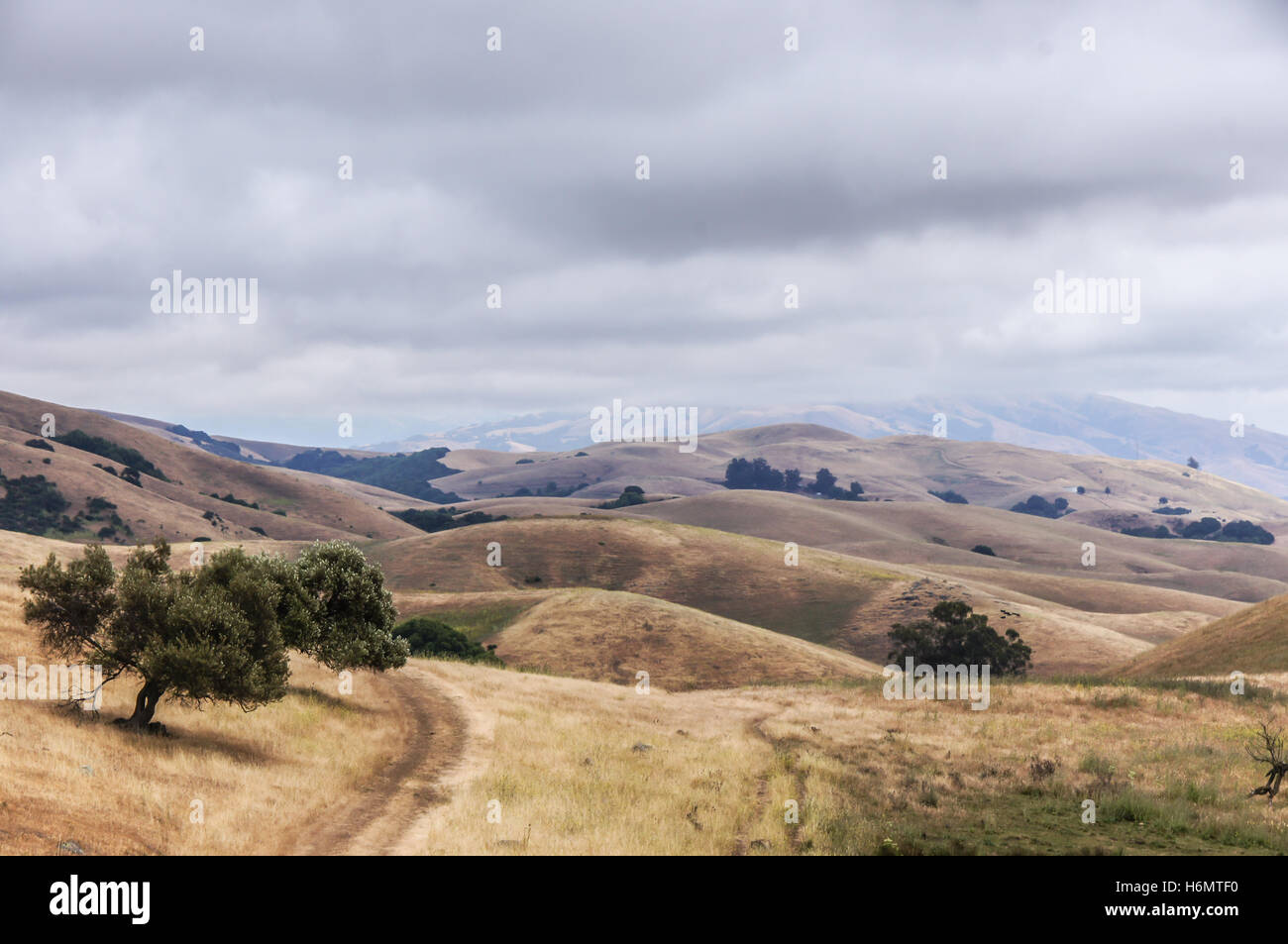 La sécheresse en Californie. Parc Régional de Garin, Californie, mai 2013. Banque D'Images