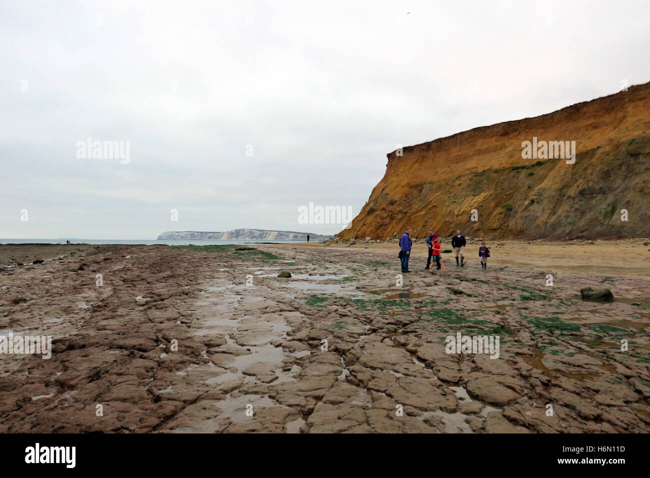 La 'forêt', Hanovre Point, île de Wight, . Marée basse révèle Iguanodon des fossiles de 125 millions d'années Banque D'Images