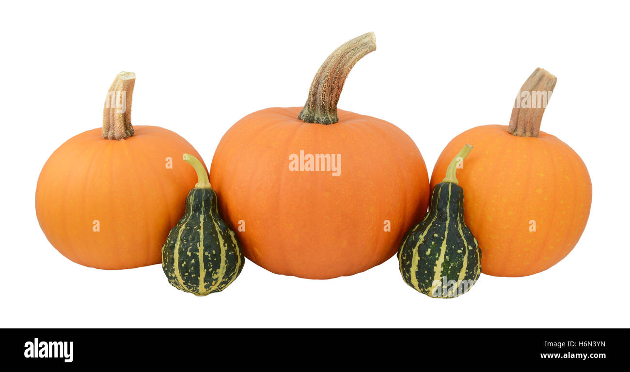 Trois citrouilles orange avec deux gourdes ornementales vert, isolé sur fond blanc Banque D'Images