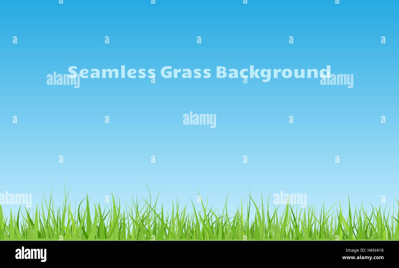 Fond d'herbe verte transparente horizontale avec lames courbées Illustration de Vecteur
