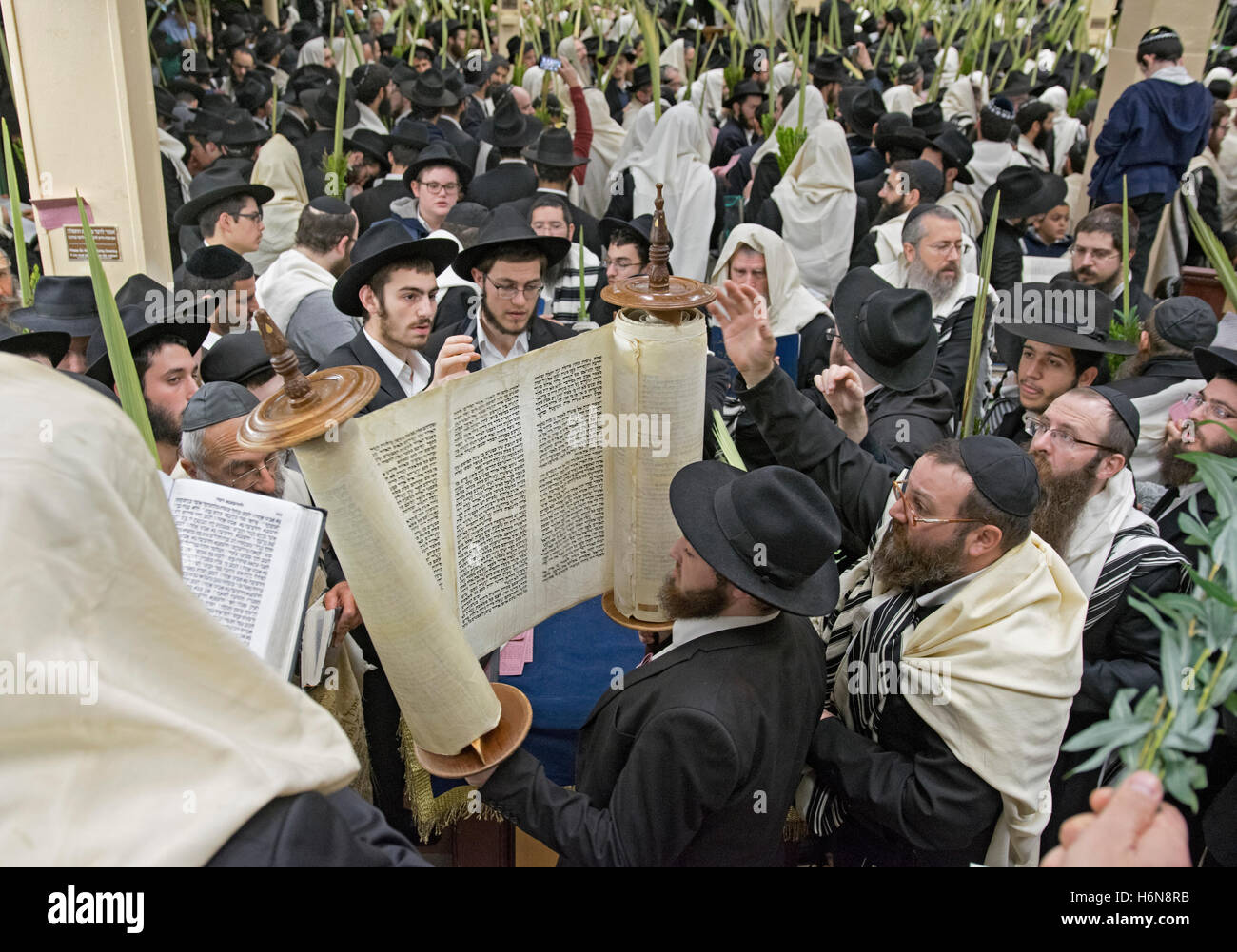 Un homme juif religieux du levage d'une Torah à matin Souccot services dans Heigfhts la Couronne, Brooklyn, New York Banque D'Images