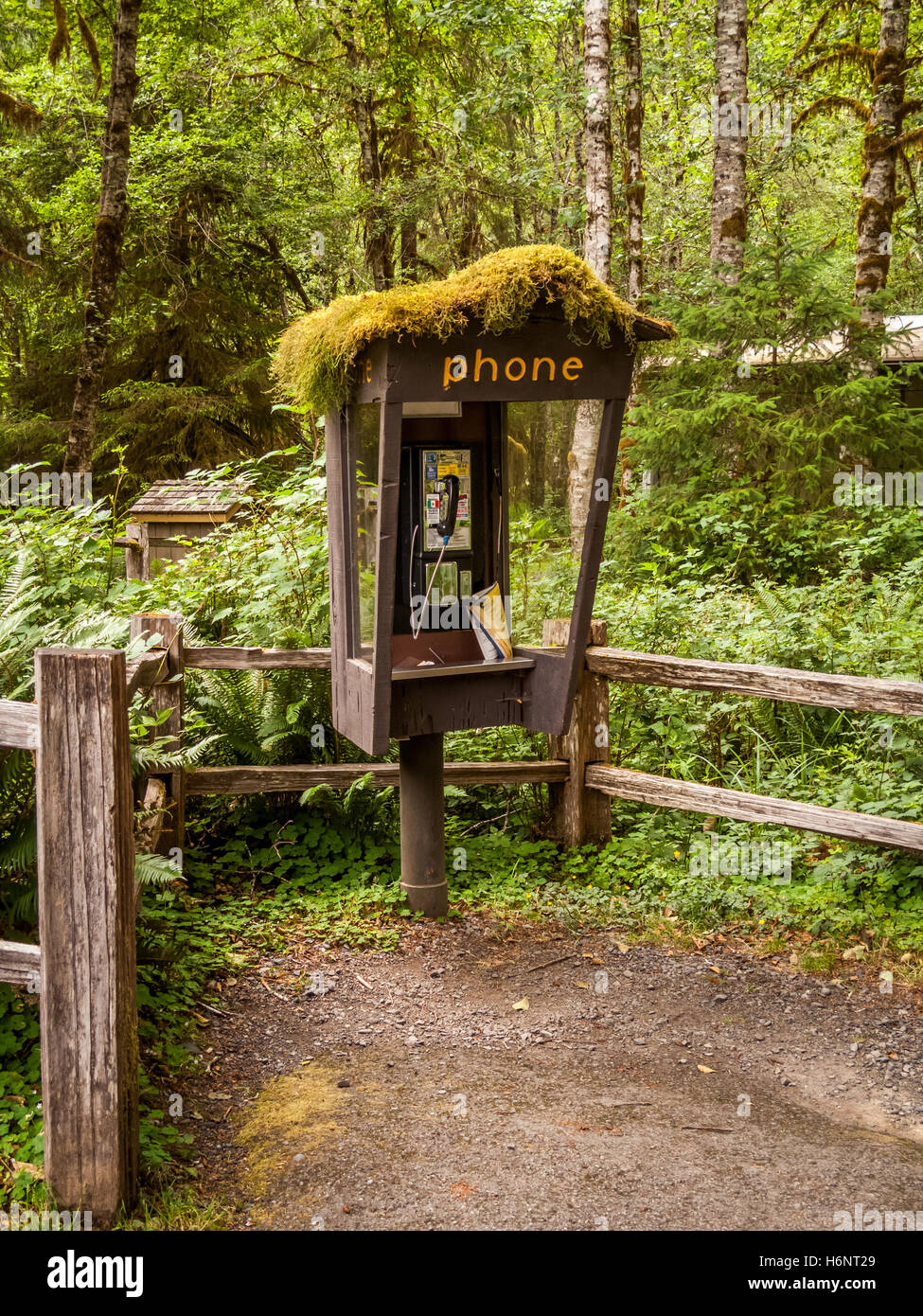 Cabine téléphonique abandonnés dans la forêt tropicale de Hoh, Olympic National Park, Washington State, USA Banque D'Images