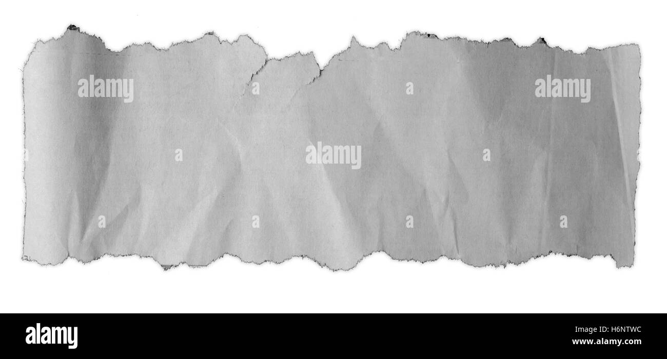 Morceau de papier déchiré sur fond uni Banque D'Images
