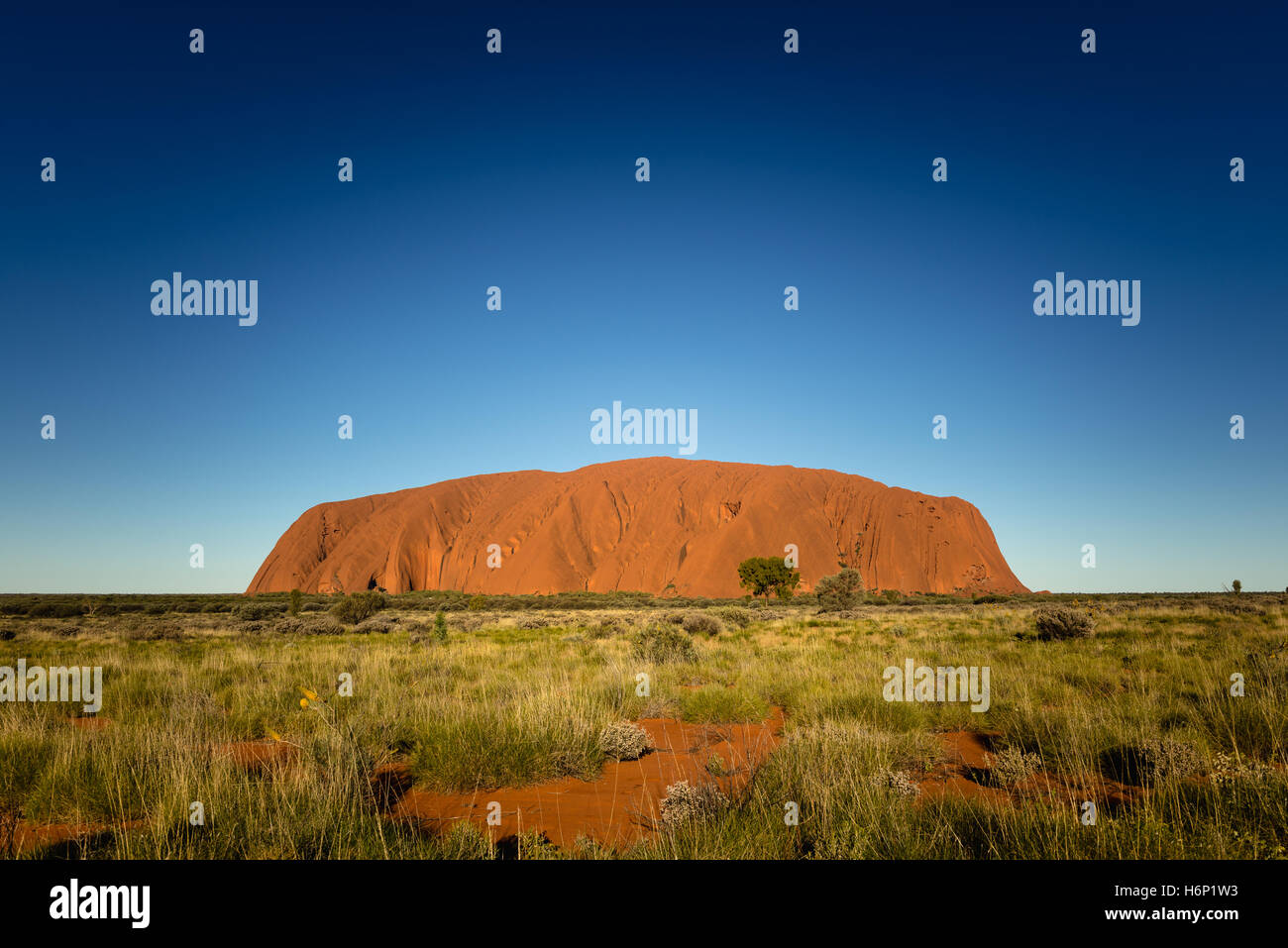 Coucher du soleil sur Uluru sous un ciel clair Banque D'Images