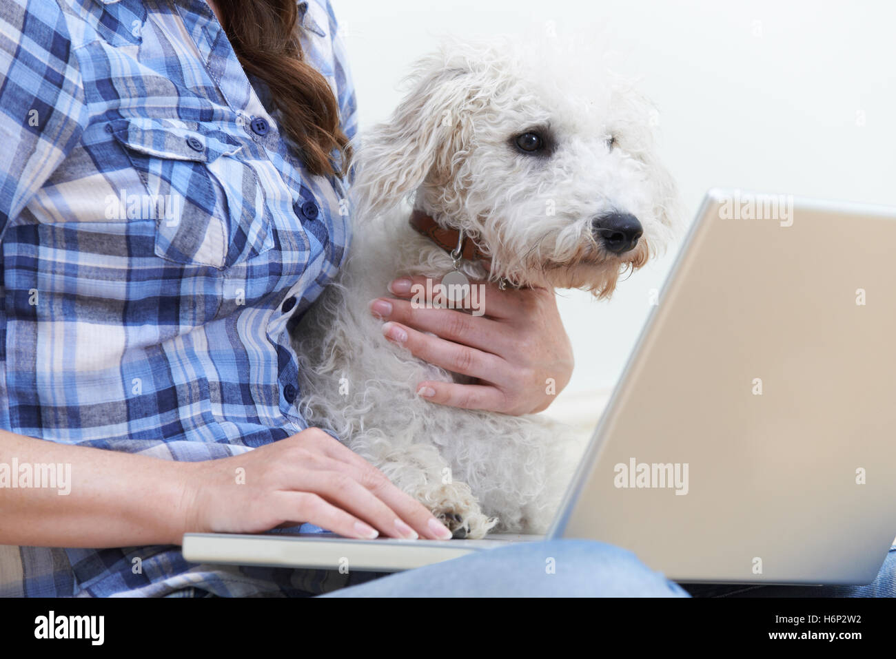 Chien assis à côté de propriétaire à l'aide du coffre Banque D'Images