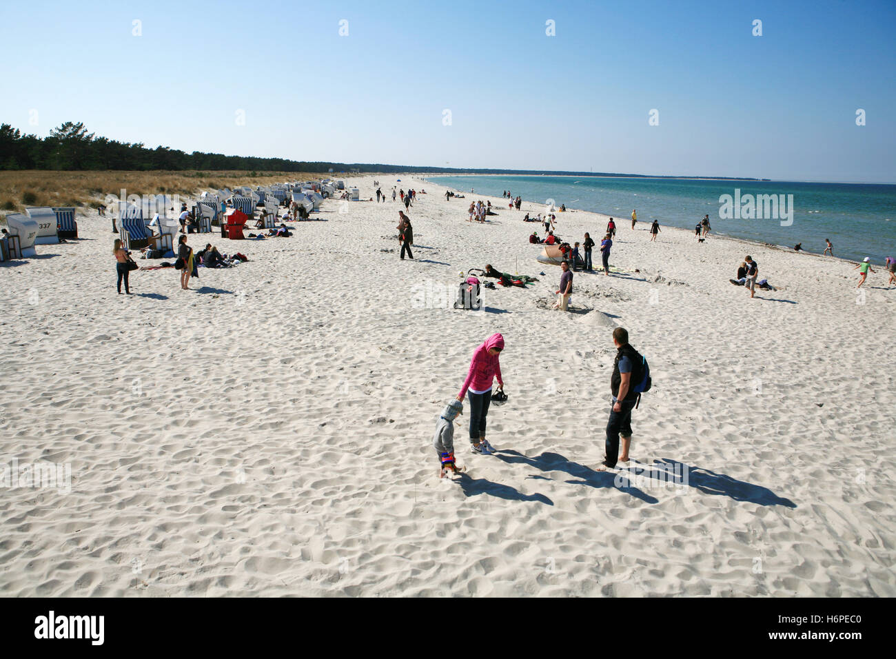 Plage de sable fin sur darÃŸ-zingst Banque D'Images