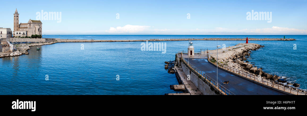 Vue panoramique y compris la Cathédrale de Trani, brise-lames et le blanc, rouge et vert de phares ville de Trani Harbour, à Trani, Pouilles, Italie Banque D'Images