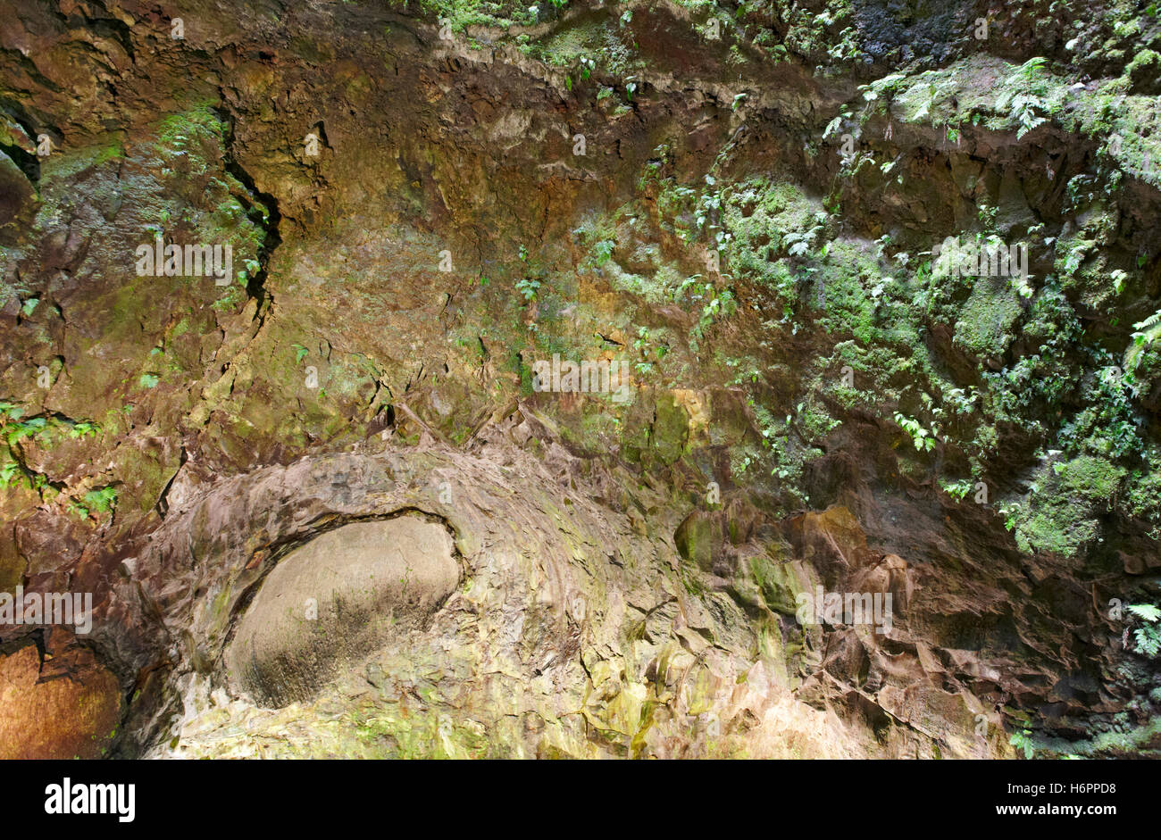 Grotte volcanique galerie dans l'île de Terceira. Açores. Algar do Carvao. Portugal Banque D'Images