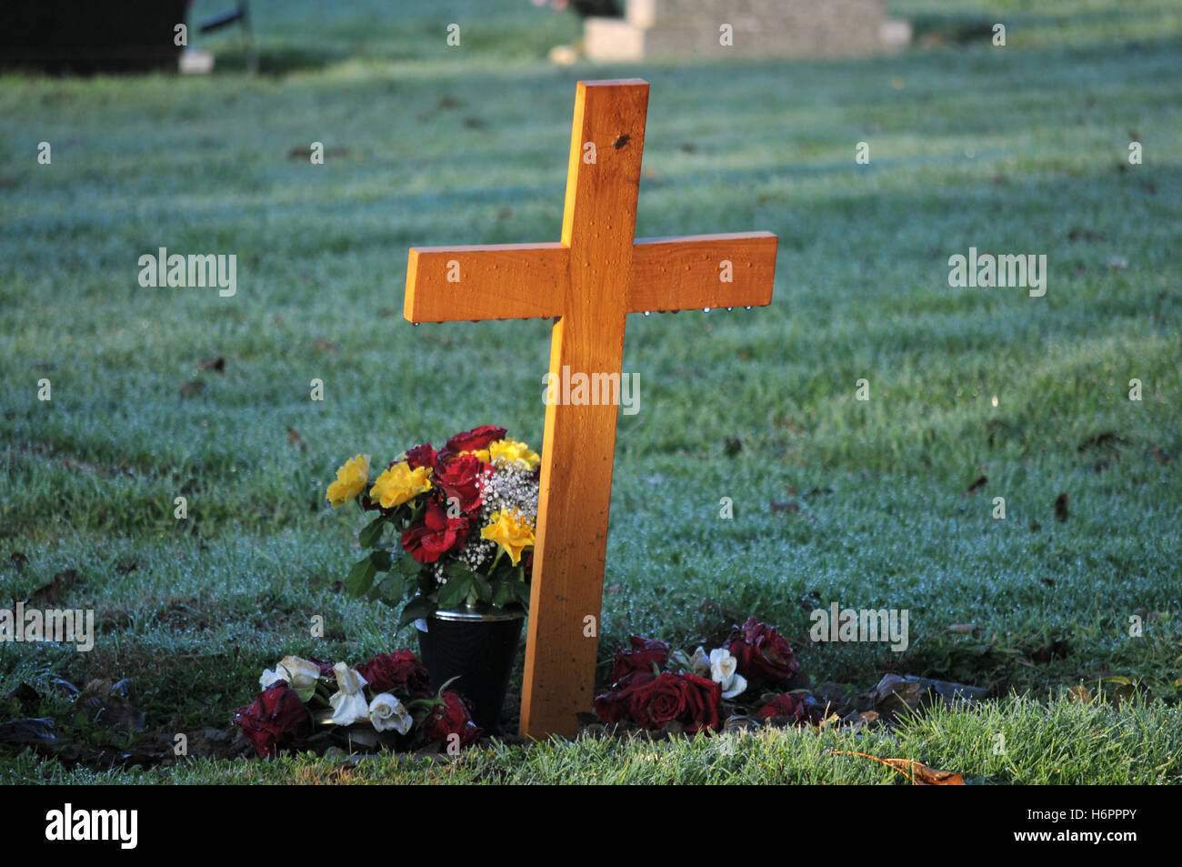 Une croix en bois temporaire dans un cimetière éclairé par le soleil du matin à Penryn, Cornwall Banque D'Images