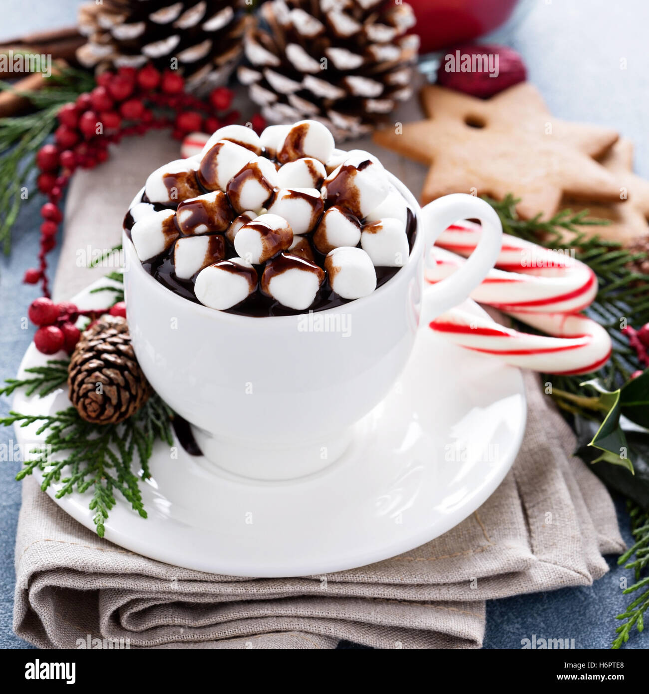 18+ Thousand Chocolat Chaud Noël Royalty-Free Images, Stock Photos &  Pictures