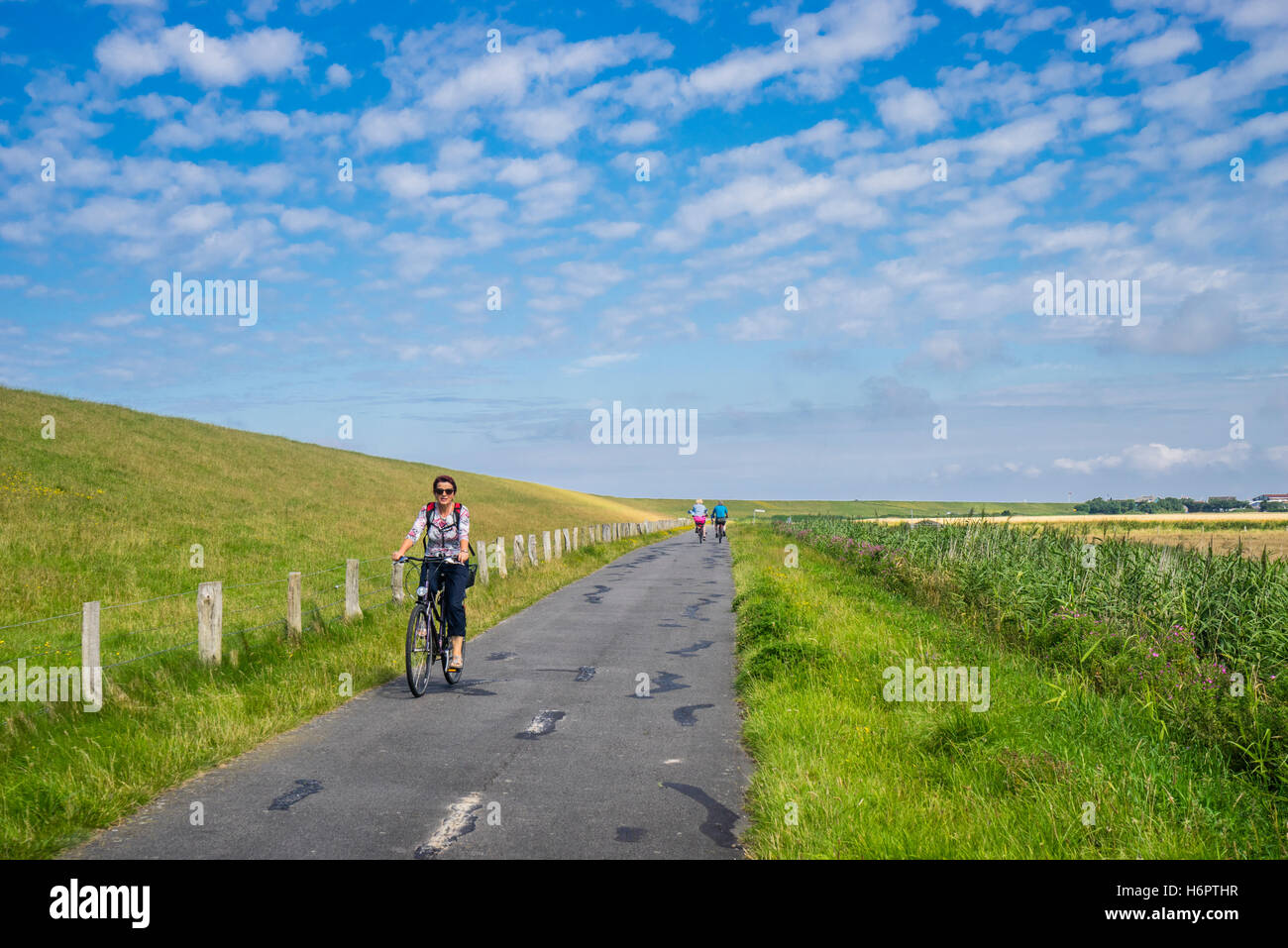 Allemagne, Schleswig-Holstein, Dithmarschen, randonnée à vélo le long de la digue près de Büsum Banque D'Images