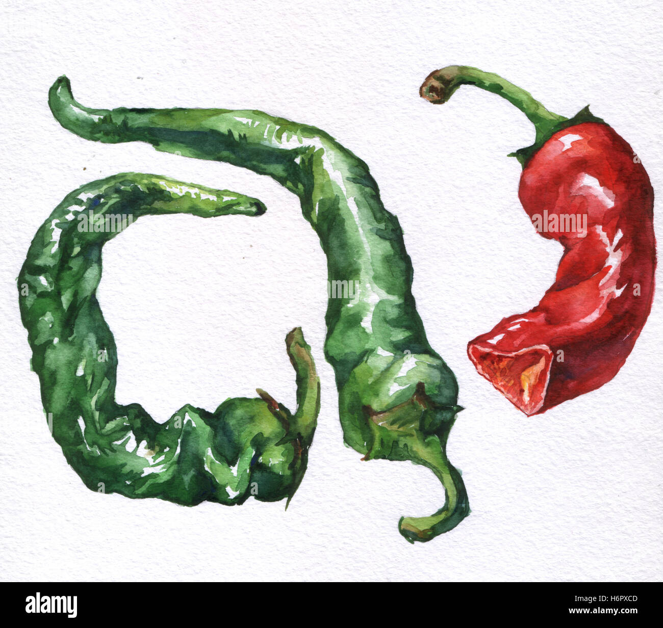 Piment fort. La main de l'aquarelle sur fond blanc. Banque D'Images