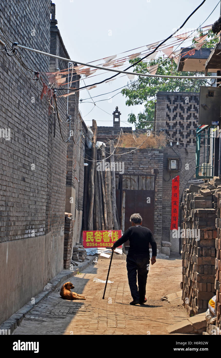 Un vieil homme passe devant un chien dans une cour traditionnelle de Pingyao, Shanxi, Chine Banque D'Images