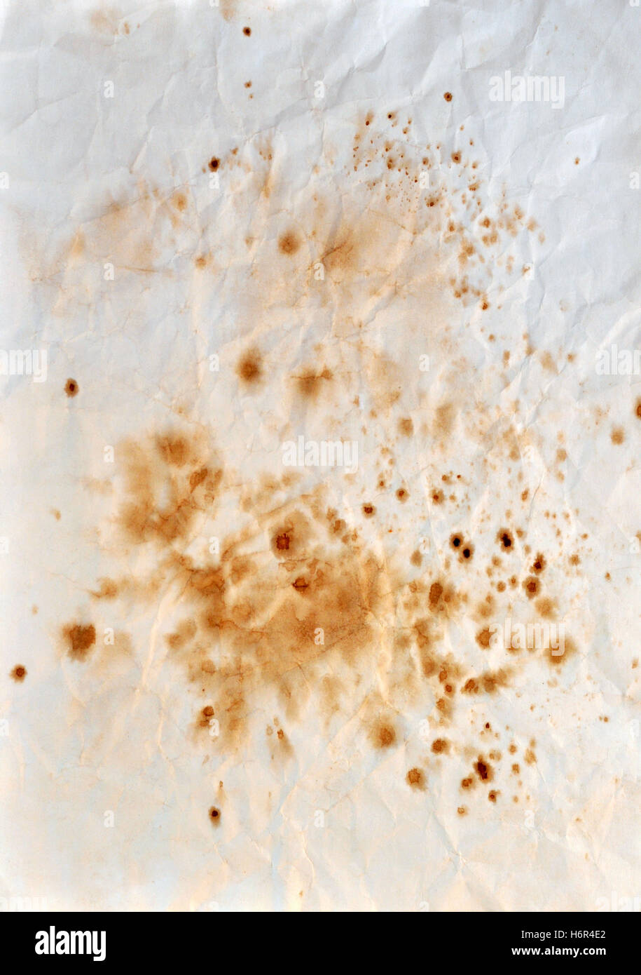 Arrière-plan avec des taches de café Banque D'Images