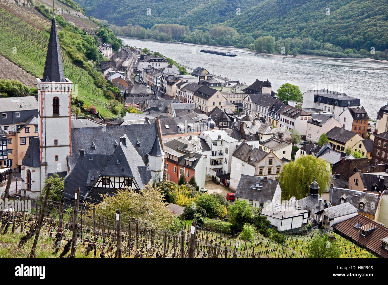 Assmanshausen,Allemagne Banque D'Images