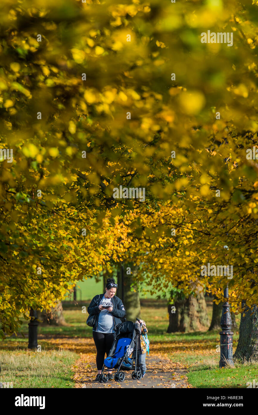 Londres, Royaume-Uni. 31 octobre, 2016. Les familles, les promeneurs de chiens, les joggeurs et les cyclistes profitez d'une journée sur Clapham Common comme les feuilles d'automne sur les arbres deviennent jaunes et orange. 31 oct 2016 Bell Crédit : Guy/Alamy Live News Banque D'Images