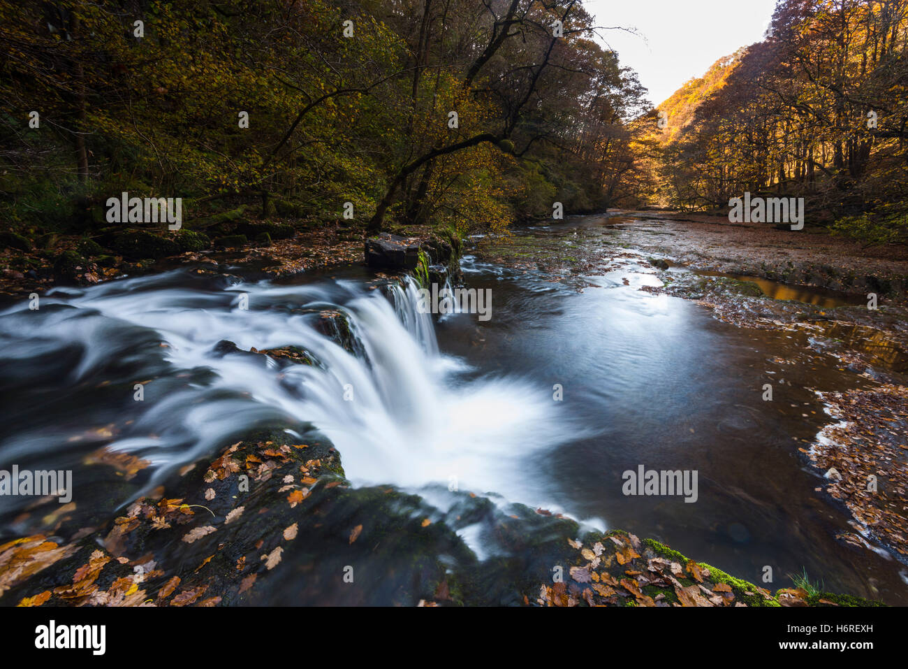 Pontneddfechan, parc national de Brecon Beacons, Wales, UK . 31 octobre 2016. Météo britannique. Couleurs d'automne à l'Ddwli Sgwd cascade de la fias sur la rivière Afon Nedd Fechan dans le parc national de Brecon Beacons. Photo de Graham Hunt/Alamy Live News Banque D'Images