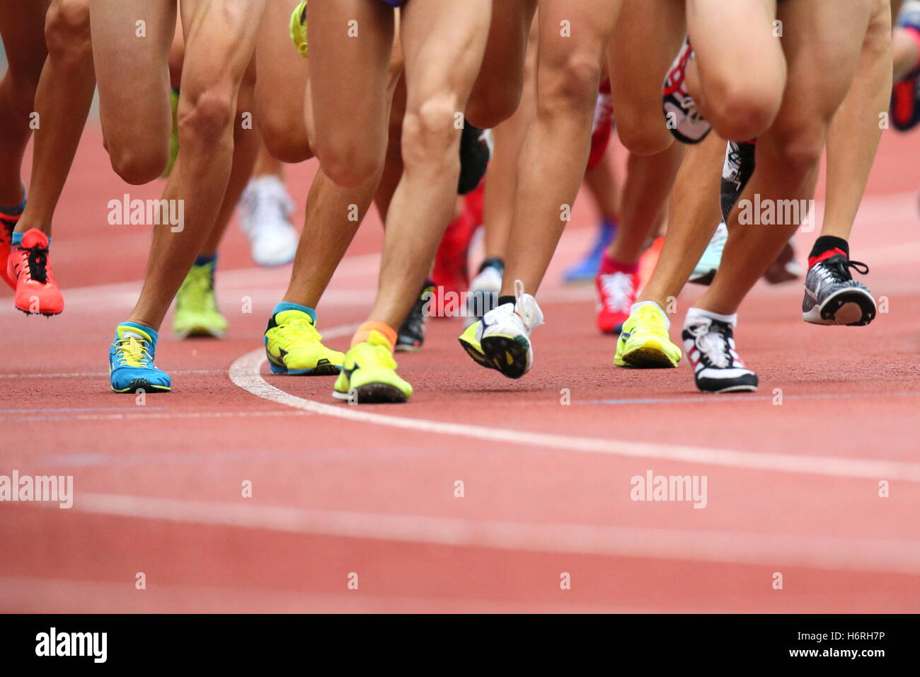 Kanagawa, Japon. 29 Oct, 2016. L'Ambiance shot : Athlétisme Athlétisme Le 47e tournoi olympique junior, Men's 3000m une chaleur à Nissan Stadium à Kanagawa, Japon . © AFLO SPORT/Alamy Live News Banque D'Images