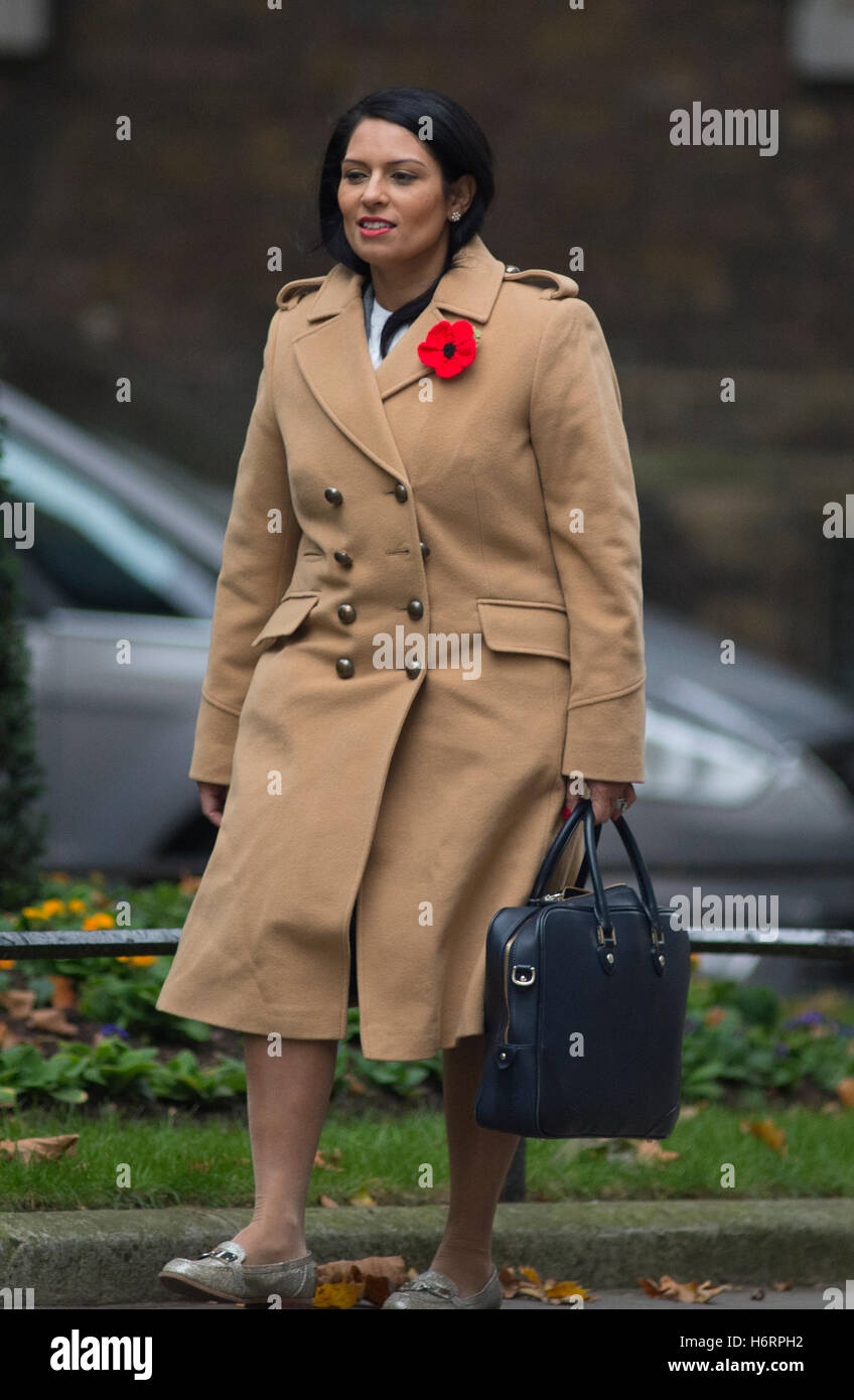 Downing Street, Londres, Royaume-Uni. 1er novembre 2016. Priti Patel, secrétaire d'État au développement international, assiste à la réunion hebdomadaire du cabinet à Downing Street. En novembre 2017, elle a démissionné de son poste de secrétaire d'État au développement international à la suite de divulgations dans les journaux. Crédit : Malcolm Park/Alay Live News. Banque D'Images Downing Street, Londres, Royaume-Uni. 1er novembre 2016. Priti Patel, secrétaire d'État au développement international, assiste à la réunion hebdomadaire du cabinet à Downing Street. En novembre 2017, elle a démissionné de son poste de secrétaire d'État au développement international à la suite de divulgations dans les journaux. Crédit : Malcolm Park/Alay Live News. Banque D'Images