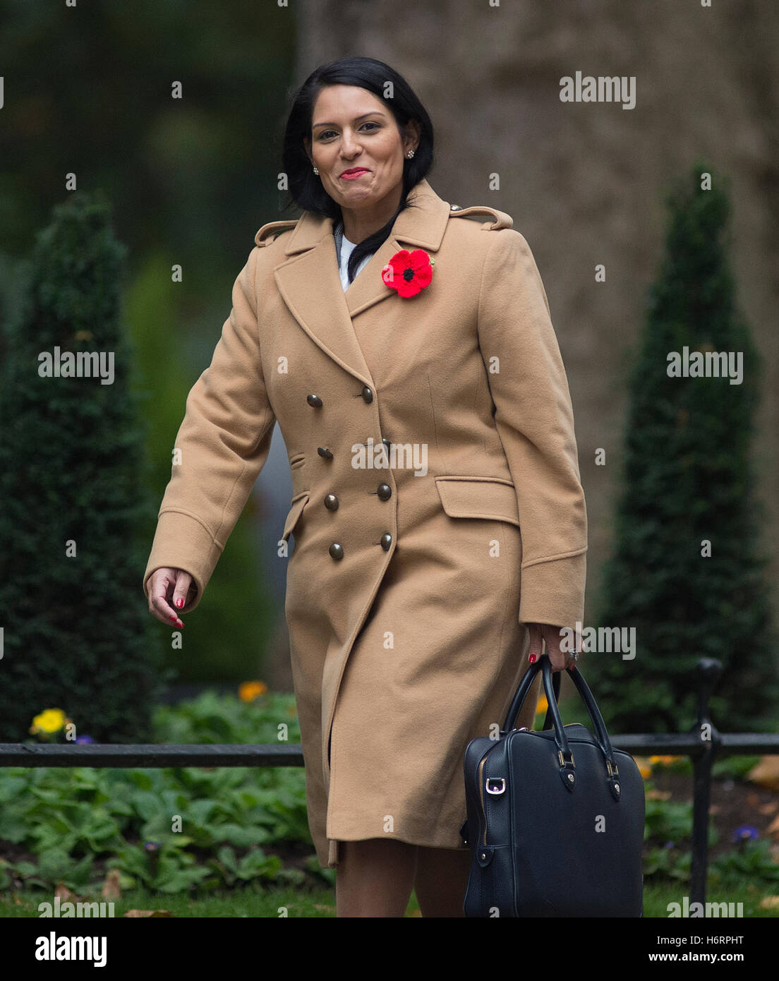 Downing Street, Londres, Royaume-Uni. 1er novembre 2016. Priti Patel, secrétaire d'État au développement international, assiste à la réunion hebdomadaire du cabinet à Downing Street. En novembre 2017, elle a démissionné de son poste de secrétaire d'État au développement international à la suite de divulgations dans les journaux. Crédit : Malcolm Park/Alay Live News. Banque D'Images Downing Street, Londres, Royaume-Uni. 1er novembre 2016. Priti Patel, secrétaire d'État au développement international, assiste à la réunion hebdomadaire du cabinet à Downing Street. En novembre 2017, elle a démissionné de son poste de secrétaire d'État au développement international à la suite de divulgations dans les journaux. Crédit : Malcolm Park/Alay Live News. Banque D'Images