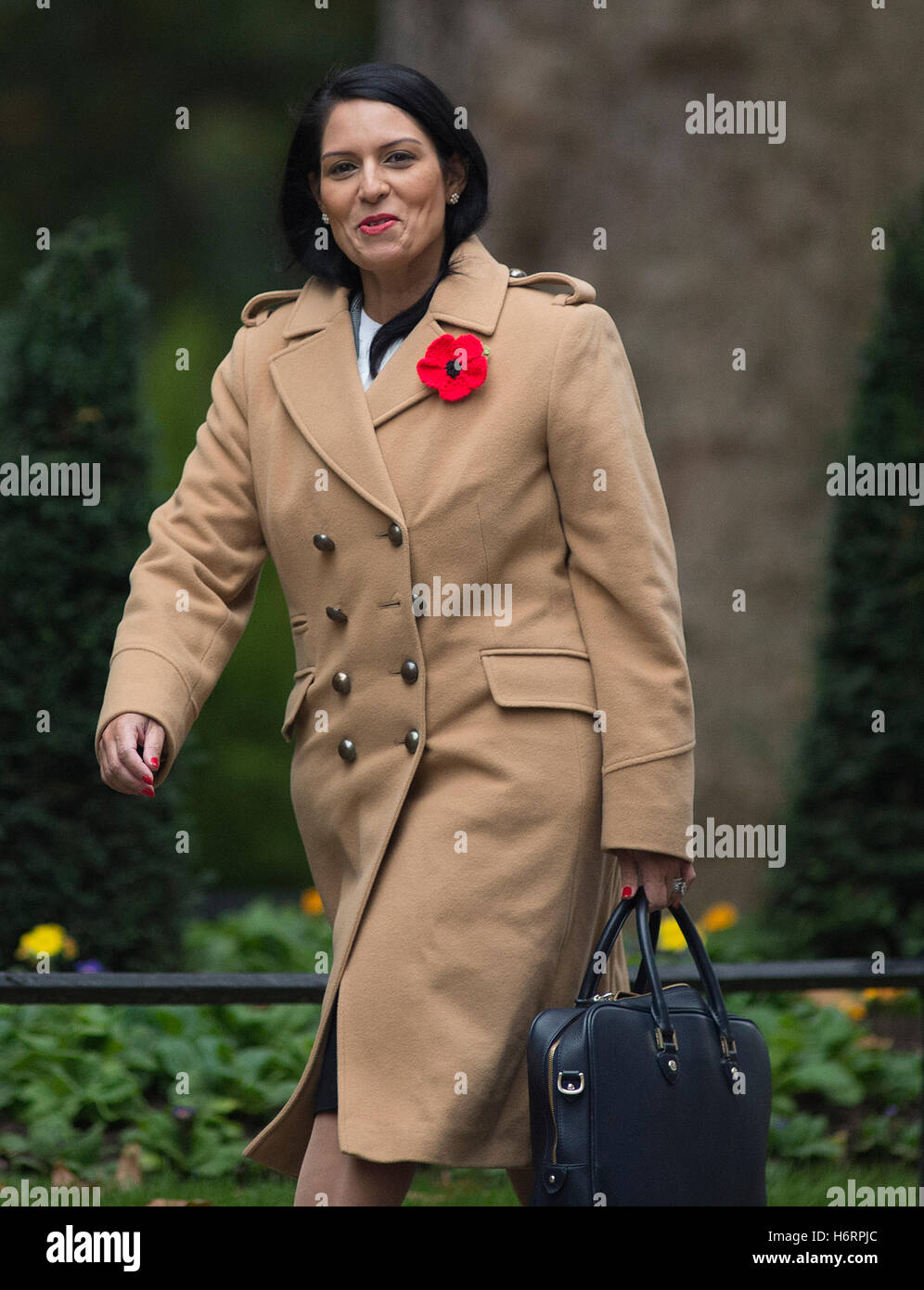 Downing Street, Londres, Royaume-Uni. 1er novembre 2016. Priti Patel, secrétaire d'État au développement international, assiste à la réunion hebdomadaire du cabinet à Downing Street. En novembre 2017, elle a démissionné de son poste de secrétaire d'État au développement international à la suite de divulgations dans les journaux. Crédit : Malcolm Park/Alay Live News. Banque D'Images Downing Street, Londres, Royaume-Uni. 1er novembre 2016. Priti Patel, secrétaire d'État au développement international, assiste à la réunion hebdomadaire du cabinet à Downing Street. En novembre 2017, elle a démissionné de son poste de secrétaire d'État au développement international à la suite de divulgations dans les journaux. Crédit : Malcolm Park/Alay Live News. Banque D'Images