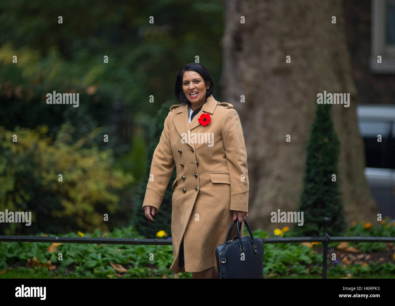 Downing Street, Londres, Royaume-Uni. 1er novembre 2016. Priti Patel, secrétaire d'État au développement international, assiste à la réunion hebdomadaire du cabinet à Downing Street. En novembre 2017, elle a démissionné de son poste de secrétaire d'État au développement international à la suite de divulgations dans les journaux. Crédit : Malcolm Park/Alay Live News. Banque D'Images Downing Street, Londres, Royaume-Uni. 1er novembre 2016. Priti Patel, secrétaire d'État au développement international, assiste à la réunion hebdomadaire du cabinet à Downing Street. En novembre 2017, elle a démissionné de son poste de secrétaire d'État au développement international à la suite de divulgations dans les journaux. Crédit : Malcolm Park/Alay Live News. Banque D'Images