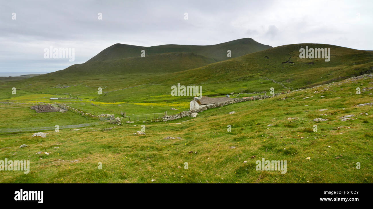 Ferme solitaire perdu sur une prairie de Foula Banque D'Images