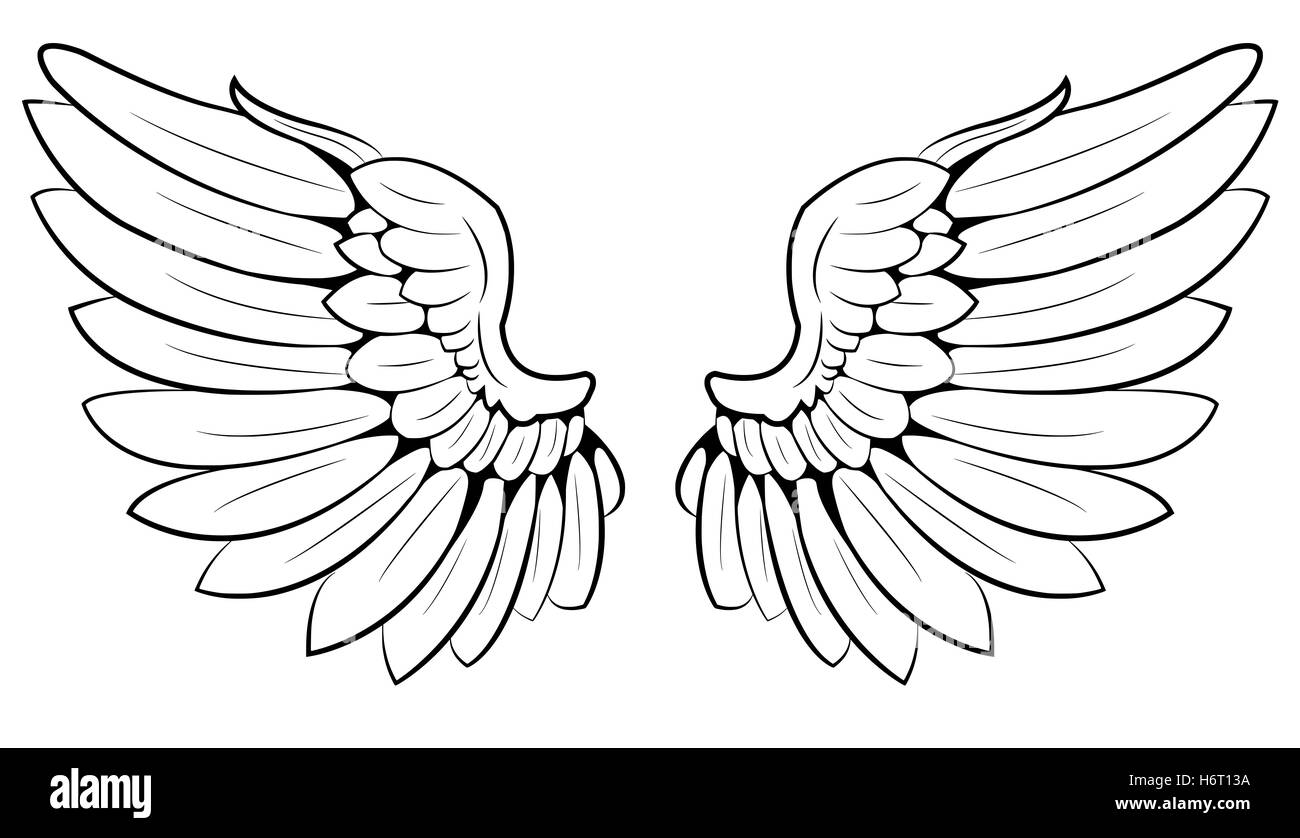 paire d’ailes Banque D'Images