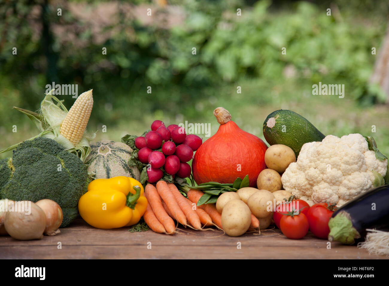 La nourriture, aliment, santé, nourrir, eco, jardin, de l'agriculture, de l'agriculture, de la fraîcheur, Banque D'Images