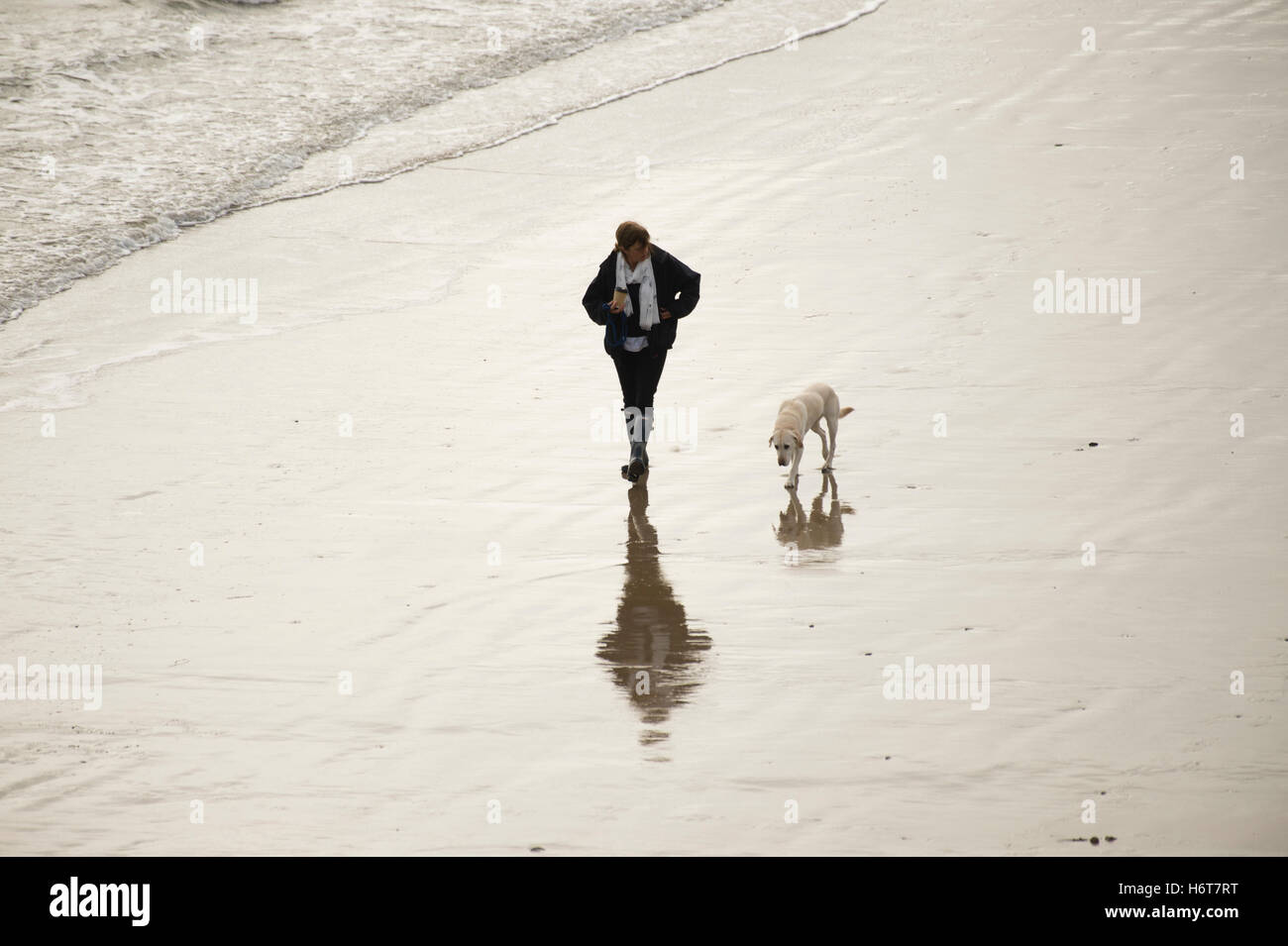 Une femme marche ses chiens sur la plage de sable déserte vide à Abersoch sur un automne hiver matin, Gwynedd , North Wales UK Banque D'Images