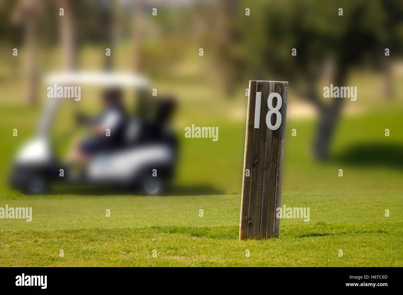 Détail sport sports tournoi de jeu jouer jouer joue joué arbre arbres ball bois cirées brille sereine lumière lucent Banque D'Images